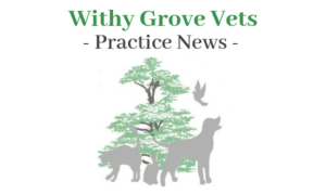 Withy Grove Vets news.